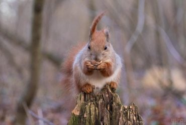 7 марта будем греться: температура порадует по всей Украине