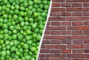 Началось все еще на Руси: почемы мы говорим как об стенку горох