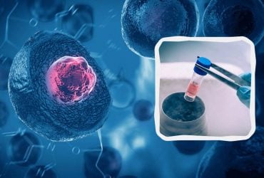 Лікування стовбуровими клітинами: перша країна у світі дозволила подібну терапію