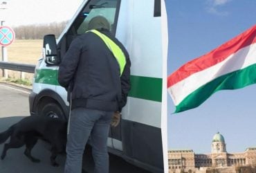 28 часов в наручниках: МИД раскрыло, как венгры обращались с украинскими инкассаторами