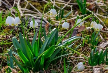 10 березня в Києві буде один з найтепліших днів тижня