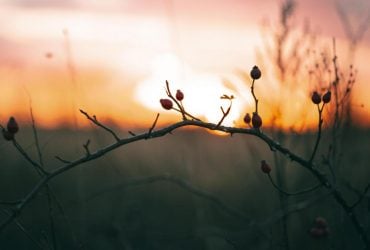 Коли весняне рівнодення 2026: що треба встигнути зробити, щоб рік склався вдало