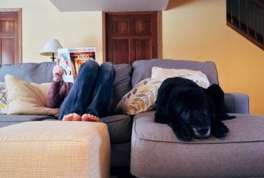 Собаки незаметно влияют на качество воздуха, которым люди дышат в доме, - исследование