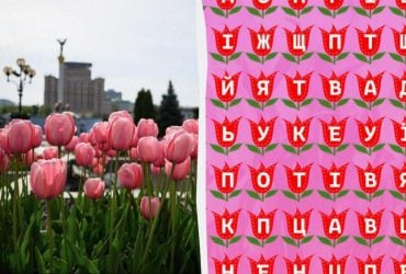 Сможете ли вы найти слово тюльпан за 11 секунд: очень сложная оптическая иллюзия