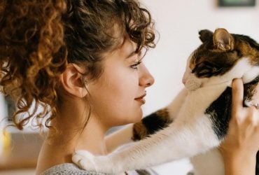 Люди, которые любят кошек, обладают 8 необычными чертами характера, - исследование