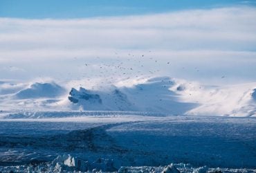 Ученые нашли "виновного" в регулярных ледниковых периодах на Земле