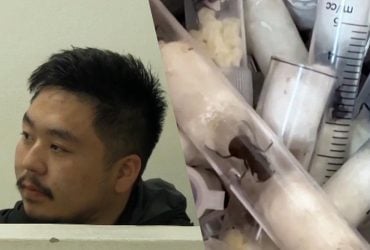 У Кенії затримали китайця за контрабанду понад 2 тисяч живих мурах