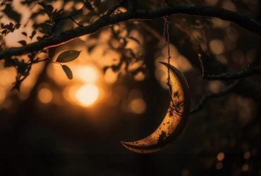 Первое новолуние весны 2026: конец трудного периода - что ждет каждый знак Зодиака