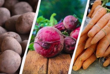 Картофель, морковь и свекла дешевеют: фермеры в Украине распродают овощи