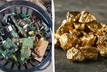 Скарби на звалищі: вчені навчилися видобувати золото з комп’ютерів за допомогою сироватки