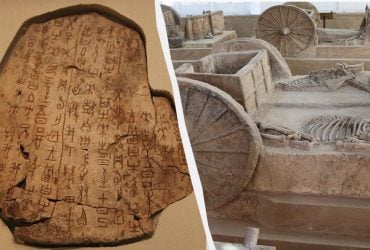 Гадательные кости возрастом 3000 лет раскрыли тайну древней катастрофы в Китае