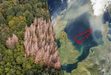 Ученые обнаружили затерянный мир на дне Северного моря