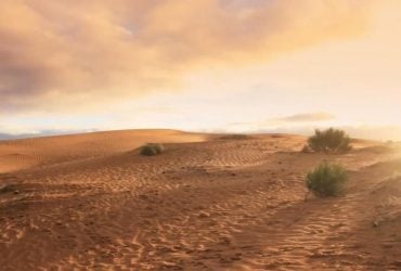 В пустыне обнаружили человеческие следы возрастом 120 тысяч лет: почему это удивило ученых