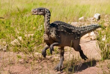 В Кореї знайшли рештки динозавра із камінням у шлунку: вчені дали пояснення