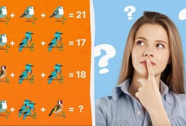 Только гений способен посчитать всех птиц: удивительно сложная головоломка