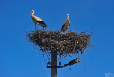 Синоптикиня розказала, яка погода чекає на українців у день весняного рівнодення