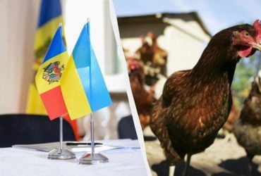 Молдова намеренно препятствует экспорту куриного мяса из Украины еще с 2022 года, – эксперт