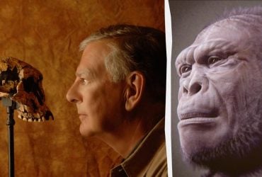 Почему первые люди не были такими, как мы сегодня: ученые дали ответ