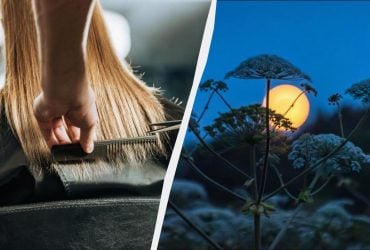 Лунный календарь подскажет, когда нужно стричься в апреле 2026: названы лучшие дни