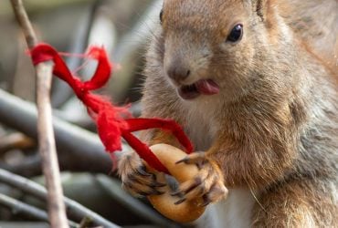 Облаков больше, но без дождя: какая погода будет в Киеве 25 марта