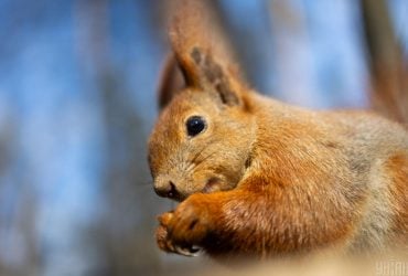 Перед выходными в Киеве заметно потеплеет