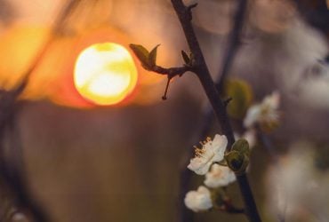 Лунный календарь на апрель 2026: удачные дни для работы, денег, поездок и огорода