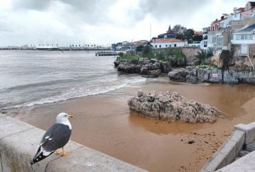 Один день в Кашкайше