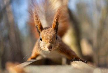 Выходные в Украине будут теплыми, но с нюансами, – синоптик Диденко