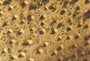 В мире есть гигантский город размером с Британию, который видно из космоса: что известно