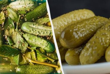 Хрустеть будут как свежие: каких ошибок избегать при квашении огурцов