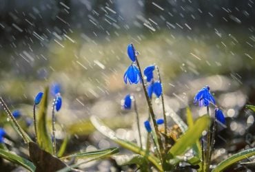 Укргидрометцентр предупредил об изменении погоды в начале апреля