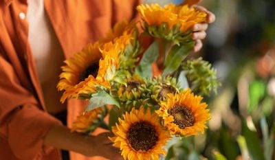 Які квіти посадити в березні у відкритий ґрунт Які квіти посадити в березні у відкритий ґрунт