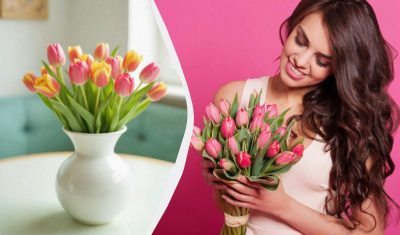 Не распустятся и простоят 2 недели: что добавить в воду для тюльпанов