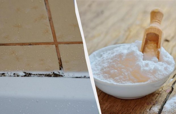Швы на плитке смазывают этим порошком на 30 минут: не останется и намека на грибок