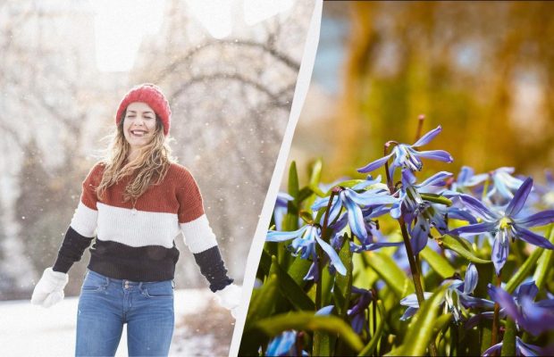 Всё про праздник 5 марта 2026: что обязательно нужно сделать на участке сегодня