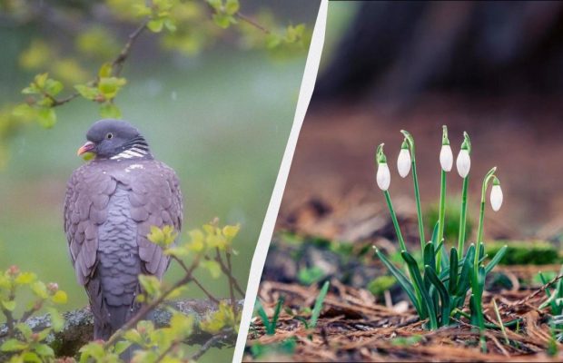 Праздник 6 марта в Украине: какой сегодня есть обряд для поминания умерших