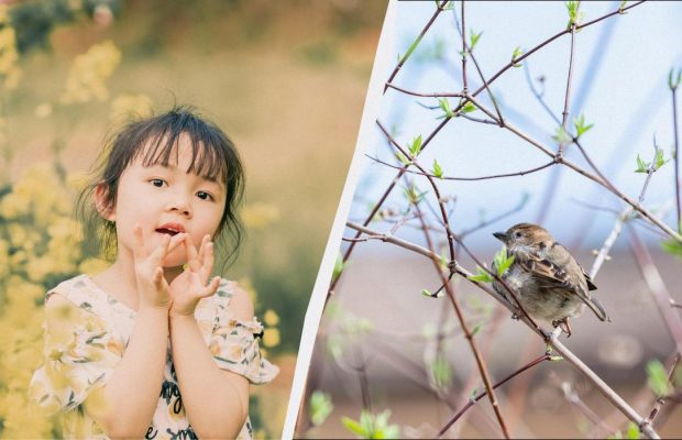 Праздник 7 марта 2026: приметы этого дня, что запрещено делать в каждом доме