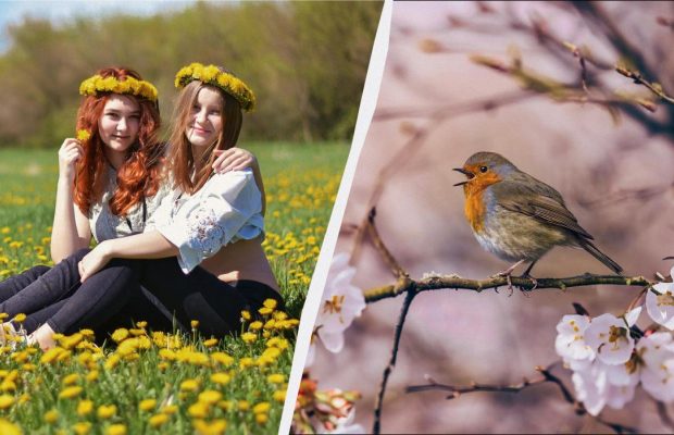 11 березня є велике професійне свято: що категорично не можна готувати