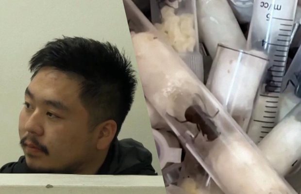 У Кенії затримали китайця за контрабанду понад 2 тисяч живих мурах