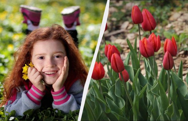 Украинские приметы в праздник 16 марта: что нельзя покупать, чтобы не попасть в беду