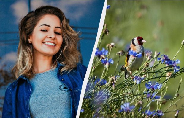 В Украине - литературный праздник 19 марта: что отмечаем и какая примета на счастье