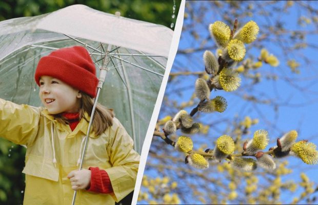 В Украине - большой профессиональный праздник 22 марта: кто принимает поздравления