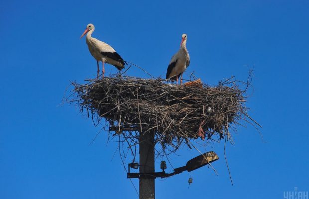 Синоптик рассказала, какая погода ждет украинцев в день весеннего равноденствия