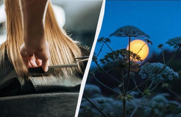 Місячний календар підкаже, коли стригтися у квітні 2026 року: названо найкращі дні