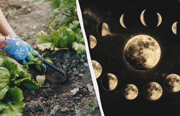 У ці квітневі дні про город варто забути: точний календар посіву на місяць