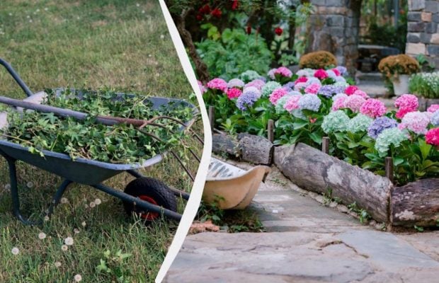 Щороку боролася з бур'янами, поки не посадила ці квіти: тепер не ростуть взагалі