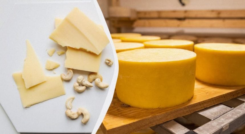 Твердий сир у магазині більше не купую: готую сама за 10 хвилин – рецепт