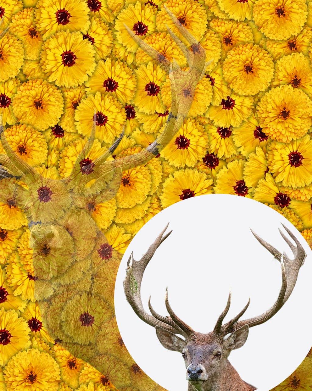 Тільки 1 з 10 людей знайде оленя на картинці за 7 секунд: дуже складна оптична ілюзія