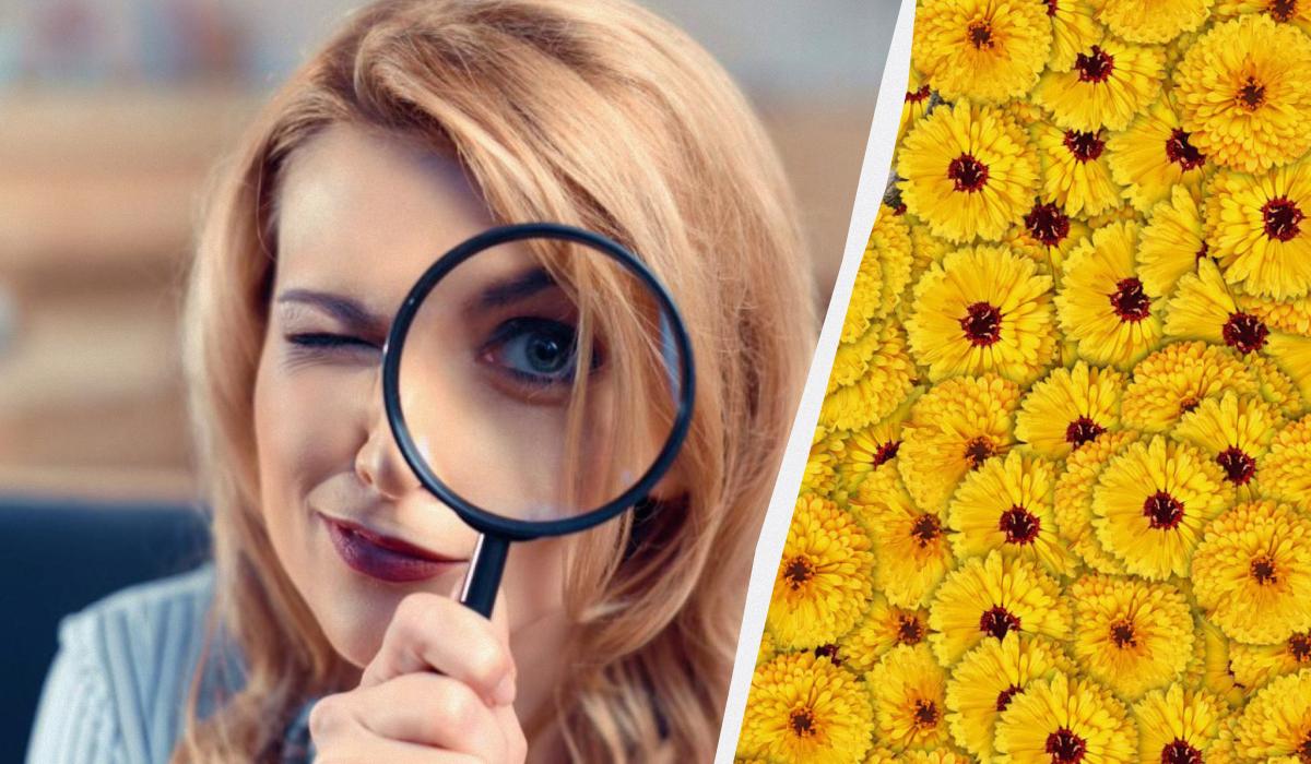 Тільки 1 з 10 людей знайде оленя на картинці за 7 секунд: дуже складна оптична ілюзія