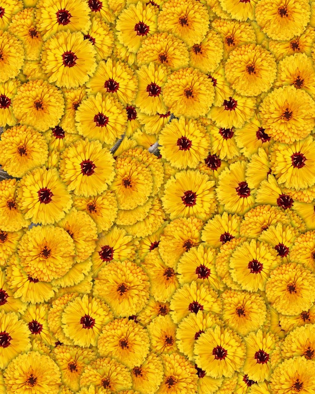 Тільки 1 з 10 людей знайде оленя на картинці за 7 секунд: дуже складна оптична ілюзія